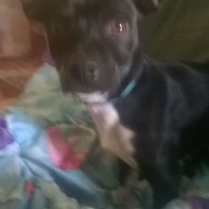 Meet your Posher, Emma